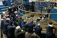 Camera at Kanturk Mart April 26 20.jpg