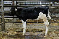 Camera at Kanturk Mart April 26 14.jpg